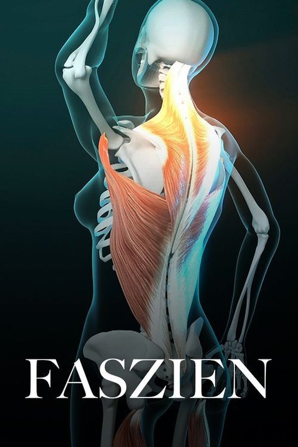 Faszien – Geheimnisvolle Welt Unter Der Haut