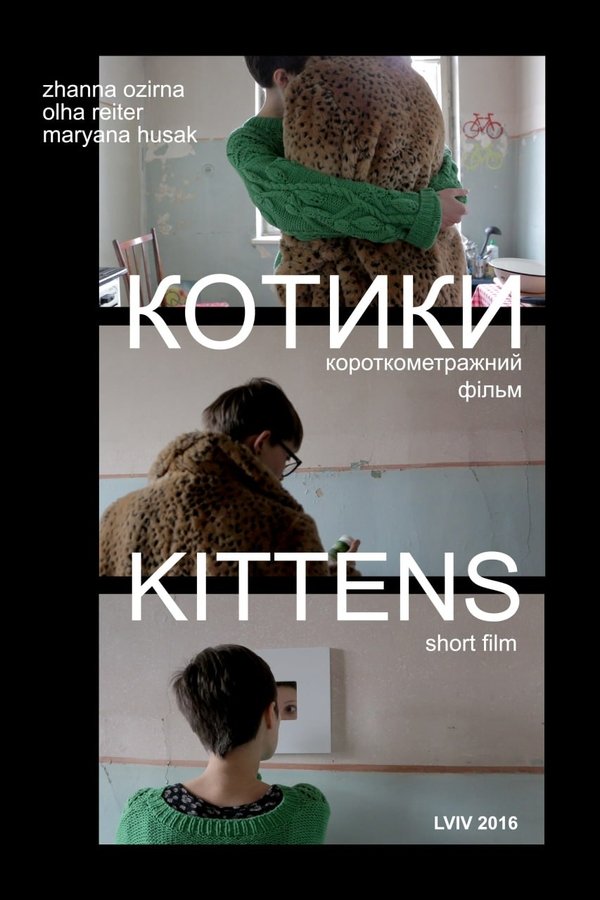 Котики