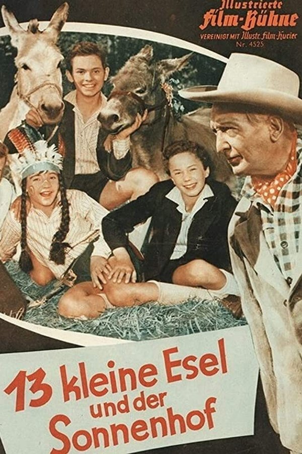 13 Kleine Esel Und Der Sonnenhof