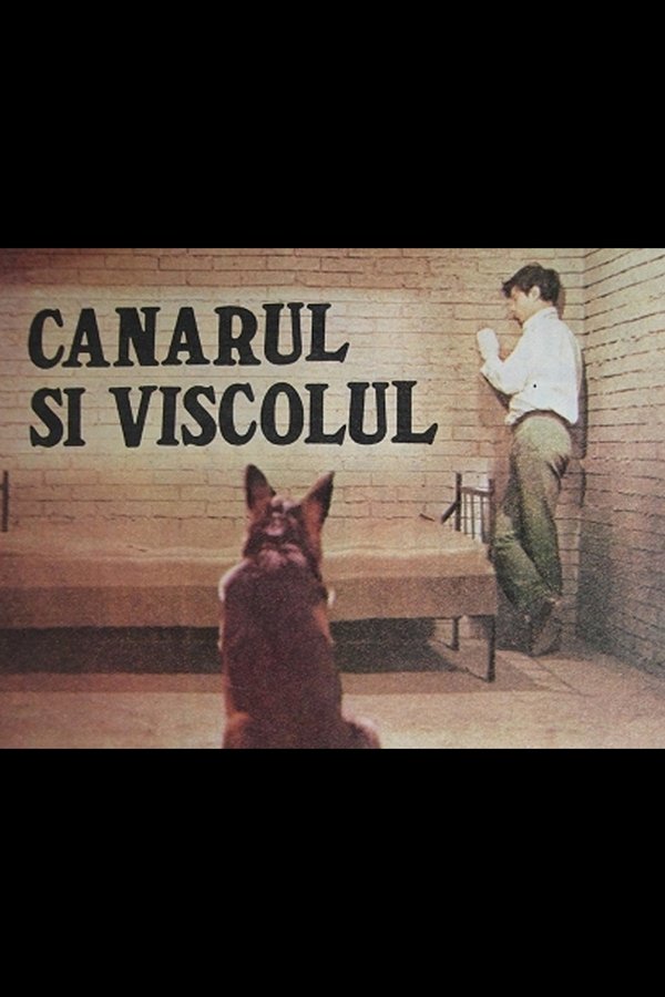 Canarul și Viscolul