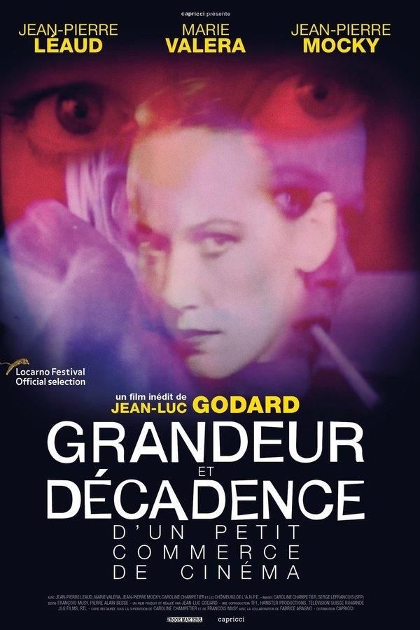 Grandeur Et Décadence D'un Petit Commerce De Cinéma