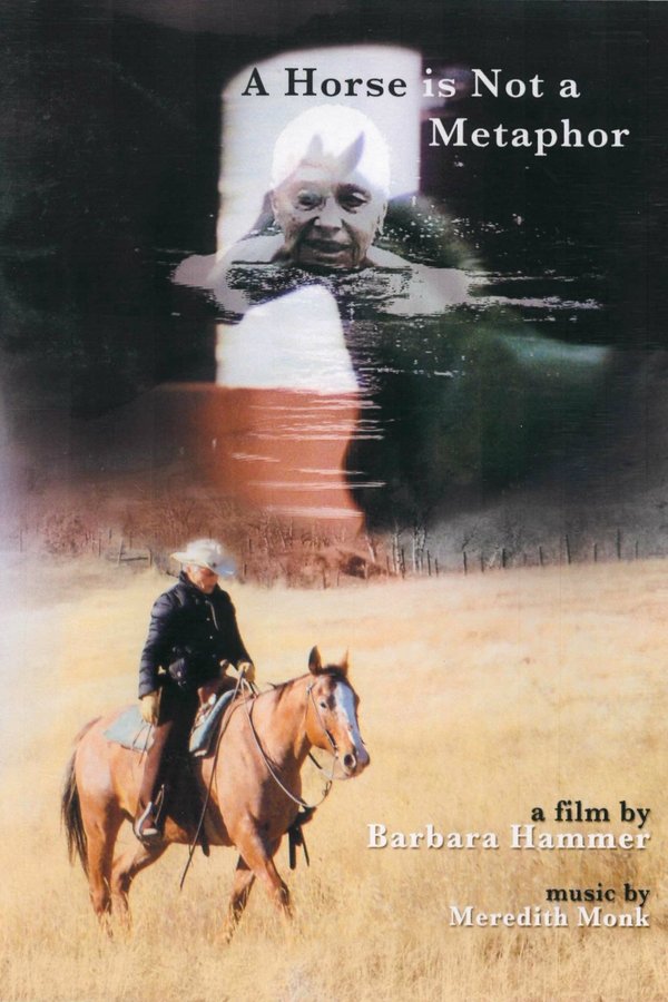 A Horse Is Not A Metaphor
