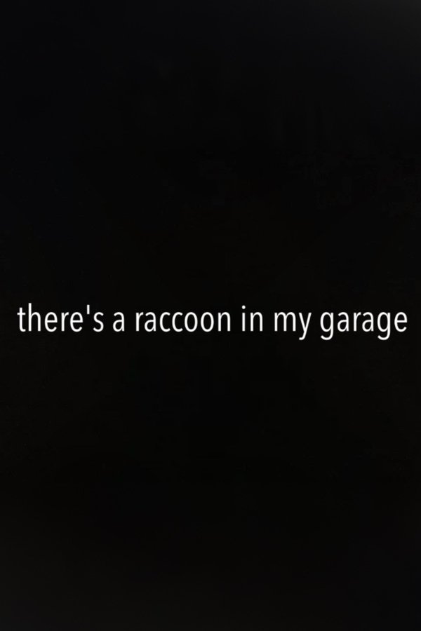 There's A Raccoon In My Garage