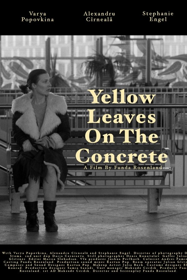 Yellow Leaves On The Concrete