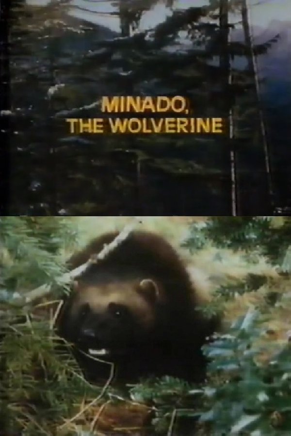 Minado, The Wolverine