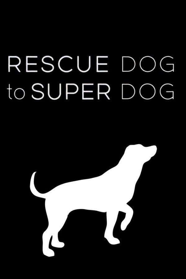 Rescue Dog To Super Dog