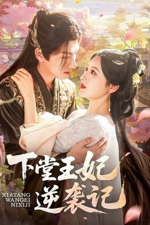 下堂王妃逆袭记