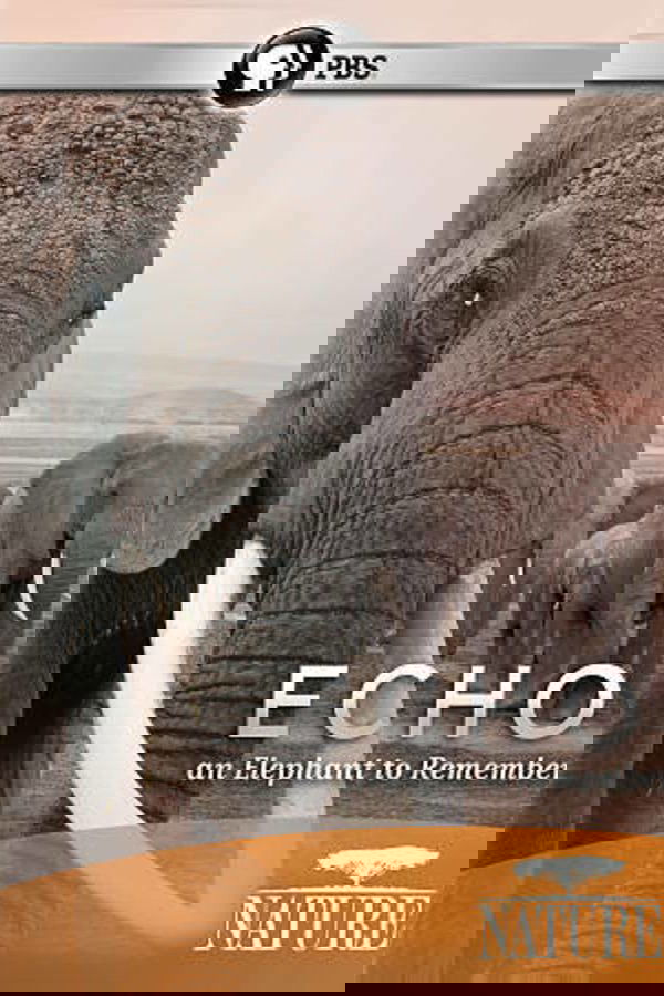 Echo: An Elephant To Remember