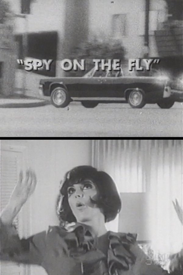 Spy On The Fly