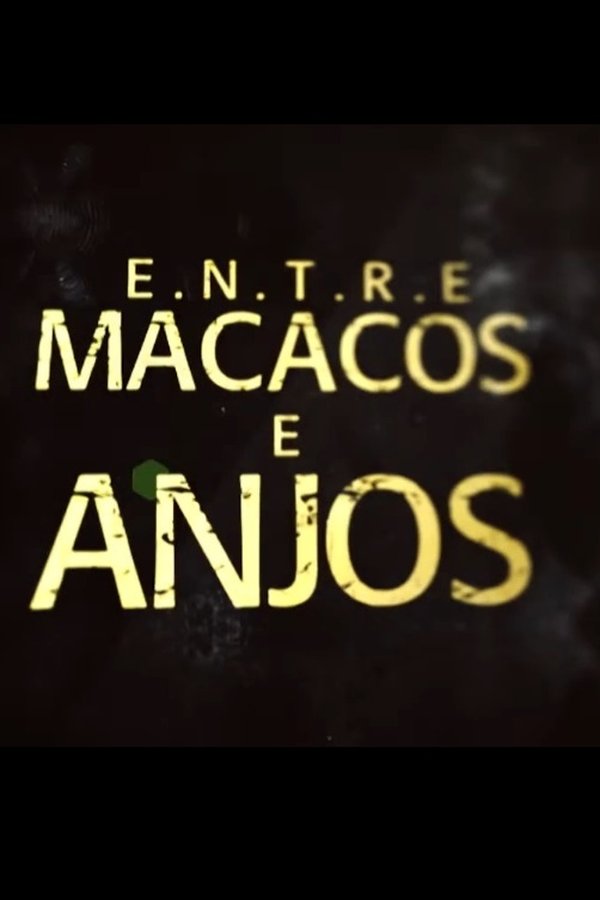 Entre Macacos E Anjos