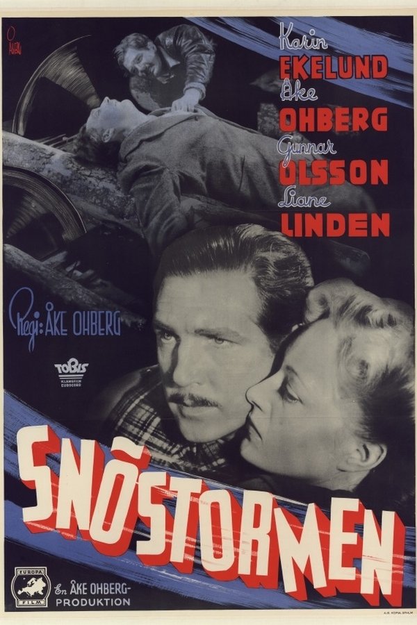 Snöstormen