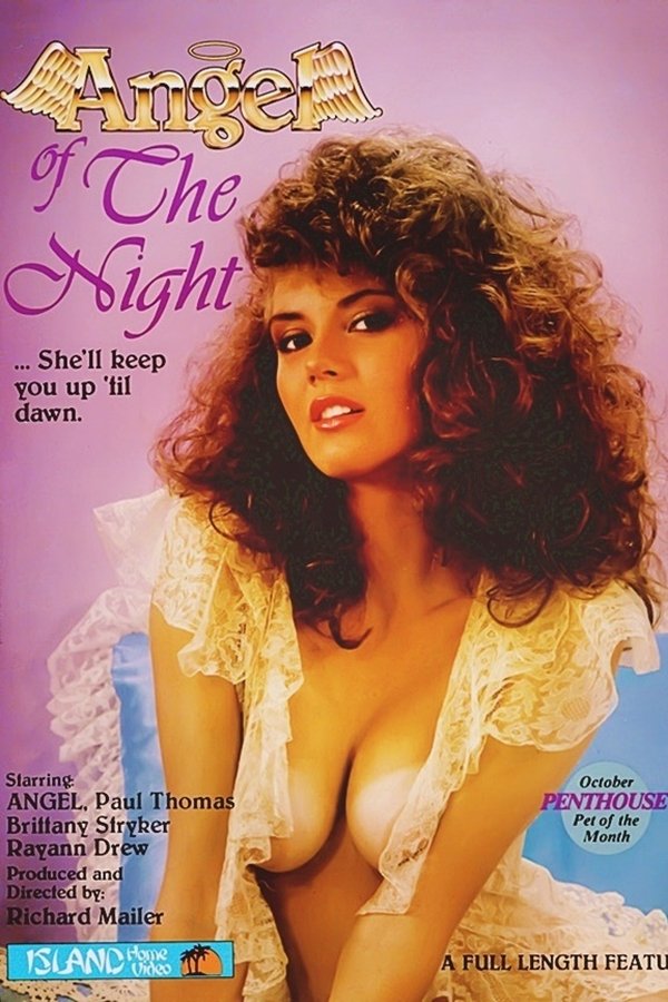 Angel Of The Night