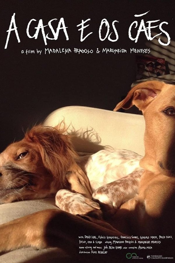 A Casa E Os Cães