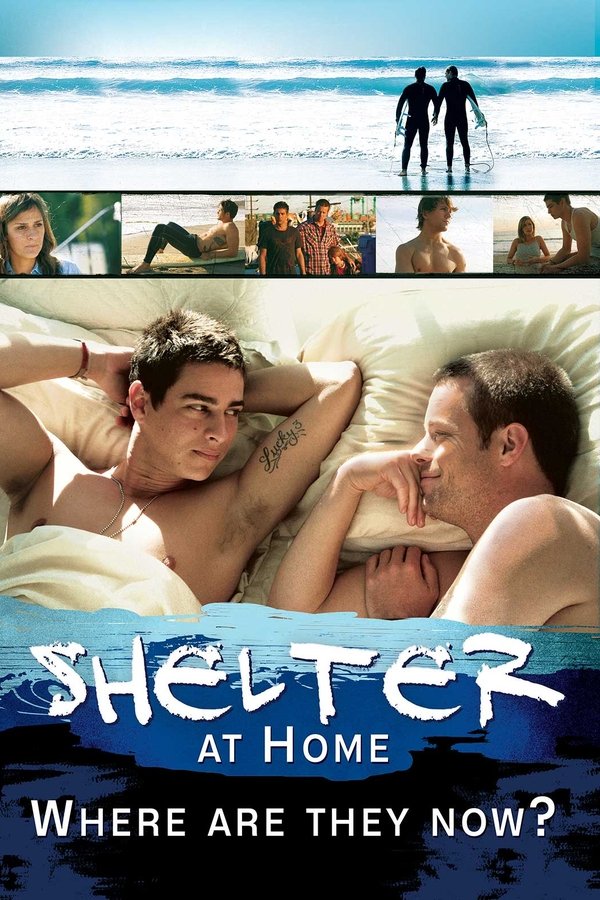 Shelter At Home: Where Are They Now?