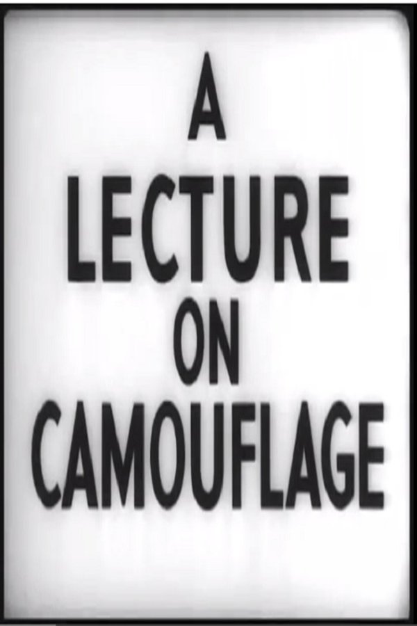 A Lecture On Camouflage