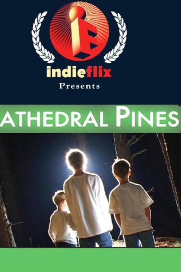 Cathedral Pines