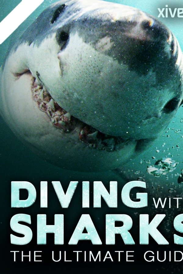 Diving With Sharks: The Ultimate Guide