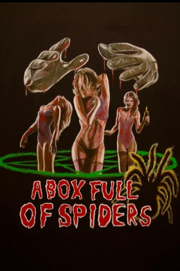 A Box Full Of Spiders