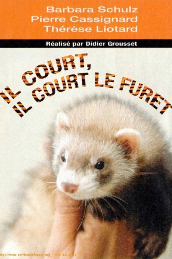 Il Court, Il Court, Le Furet...