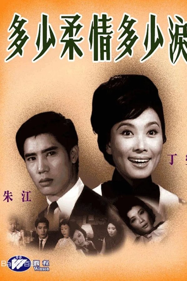 多少柔情多少淚