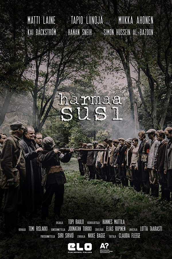 Harmaa Susi