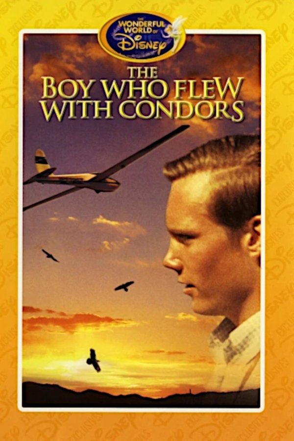The Boy Who Flew With Condors