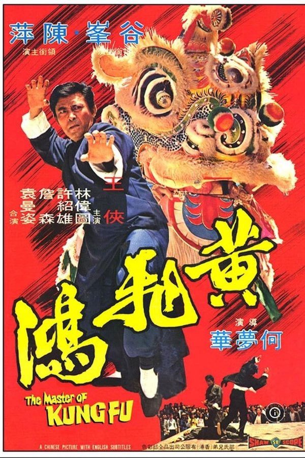 The-master-of-kung-fu