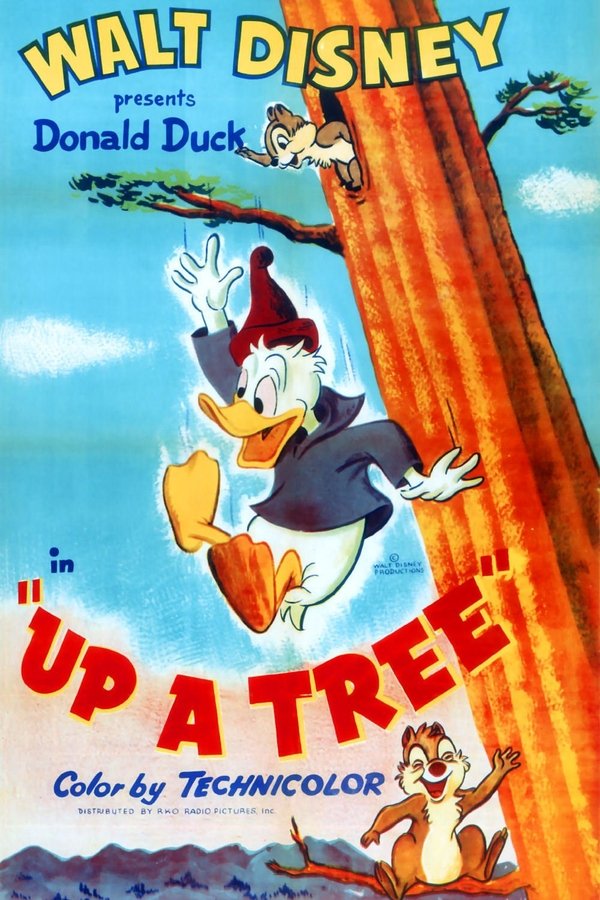 Up A Tree