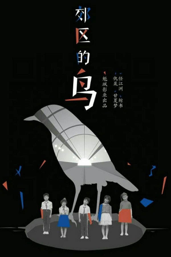 郊区的鸟