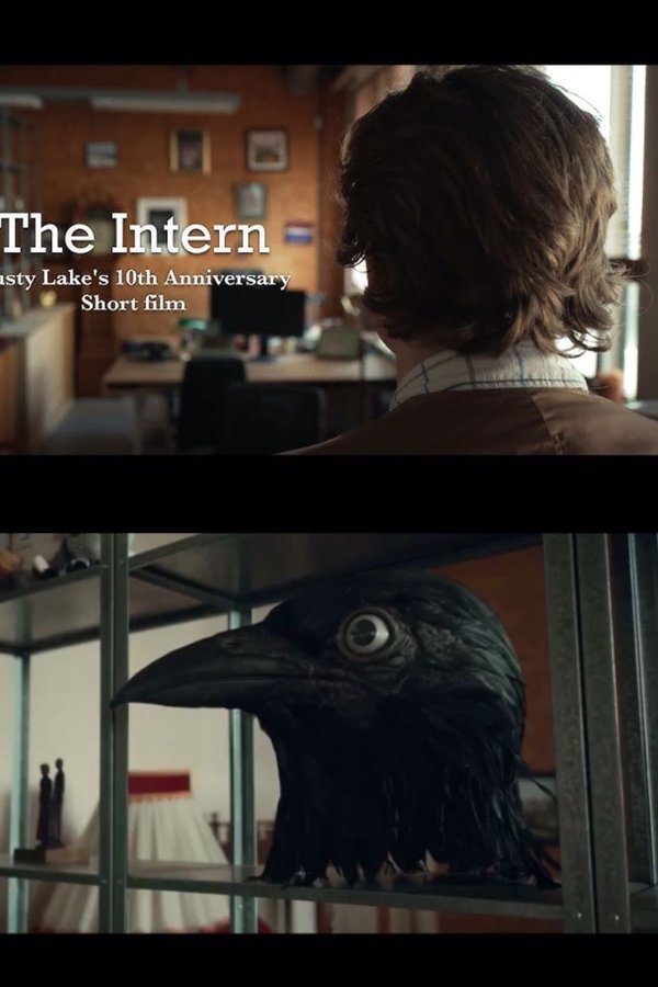 The Intern