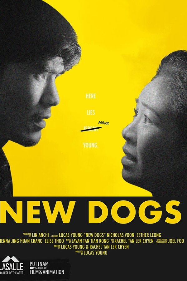 New Dogs