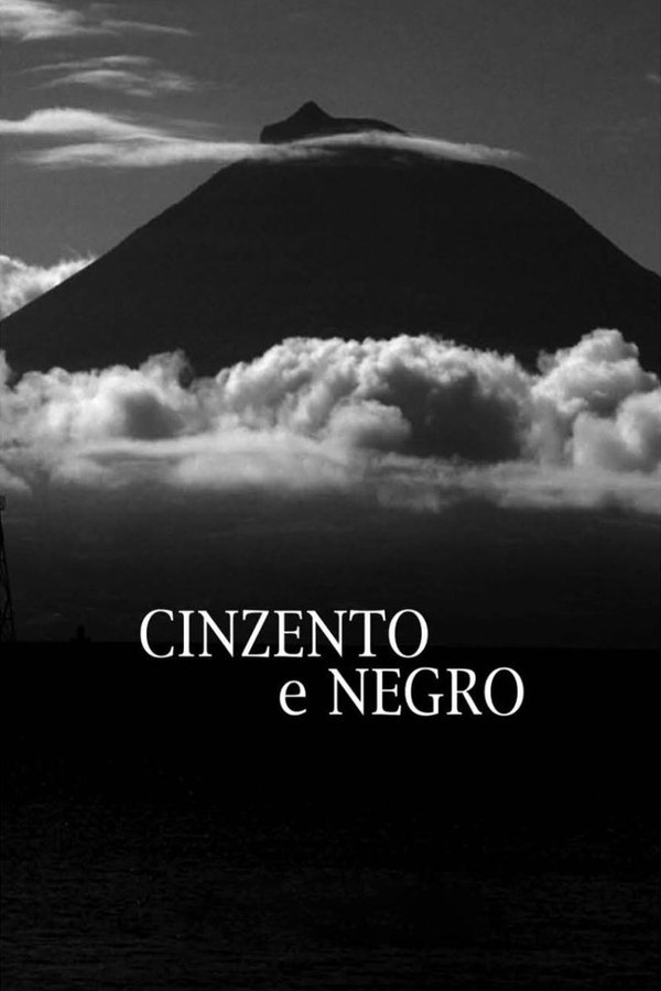 Cinzento E Negro
