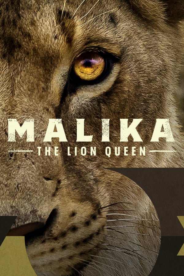 Malika The Lion Queen