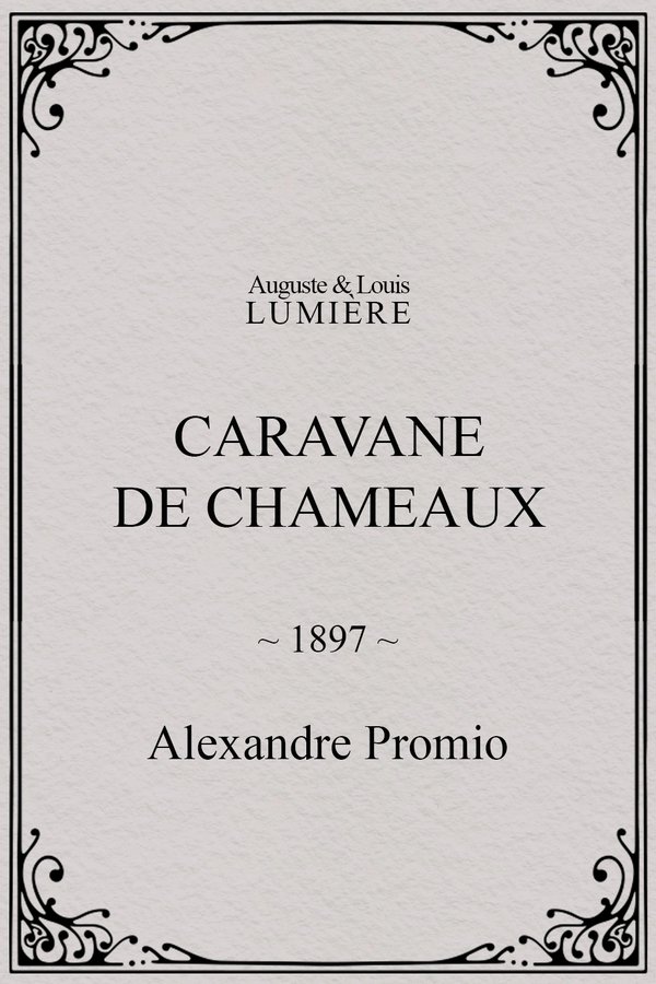Caravane de chameaux