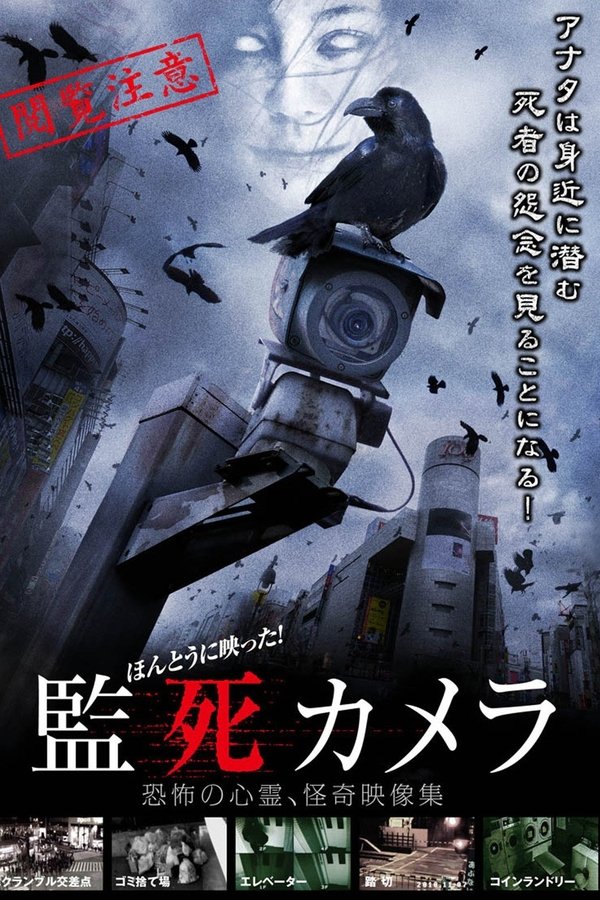 Hontou Ni Utsutta Kanshi Camera