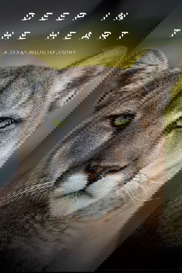 En Lo Profundo Del Corazón (Deep In The Heart: A Texas Wildlife Story)