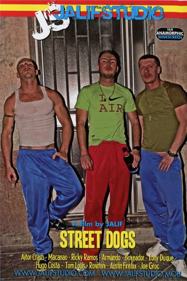 Street Dogs