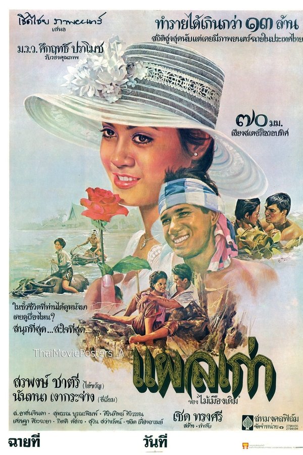 แผลเก่า