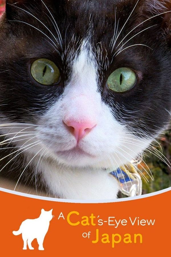 A Cat's-Eye View Of Japan
