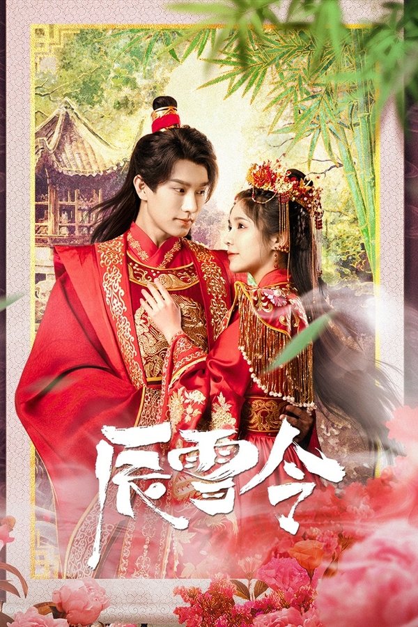 辰雪令