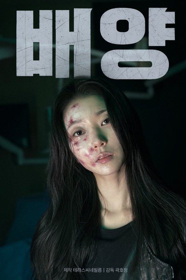 배양