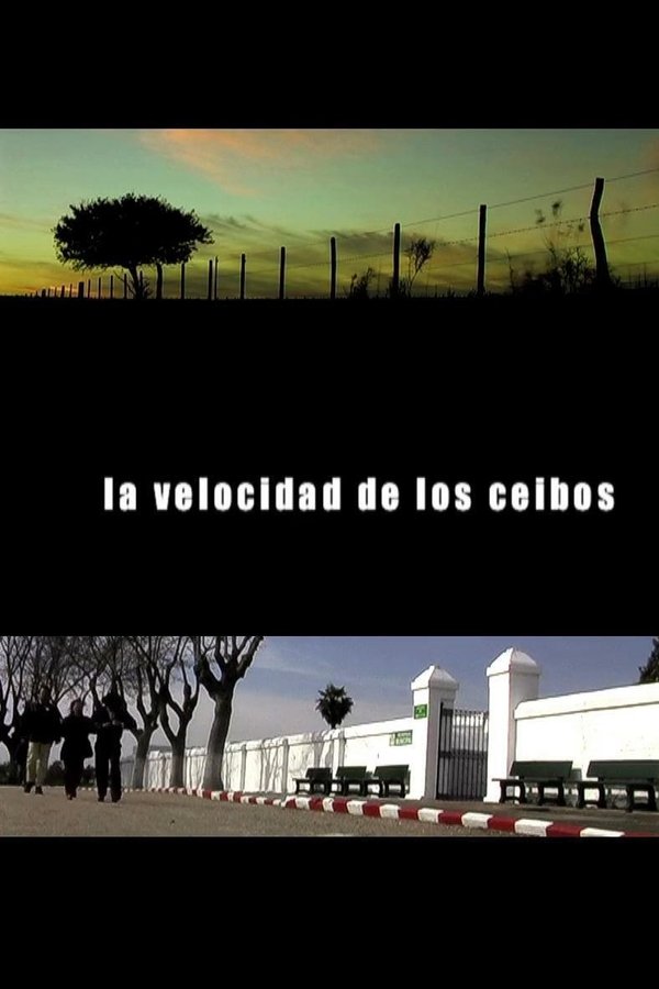 La Velocidad De Los Ceibos