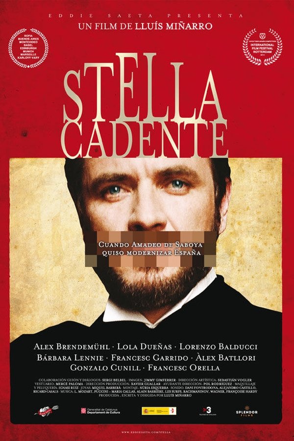 Stella cadente