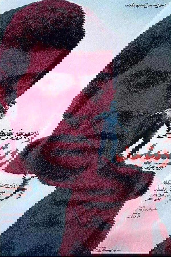 رشید
