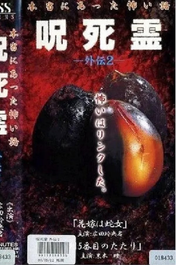 咒.死.灵外传2 本当にあった怖い話 呪死霊 外伝2