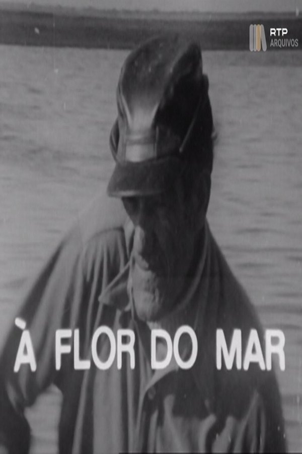 À Flor Do Mar