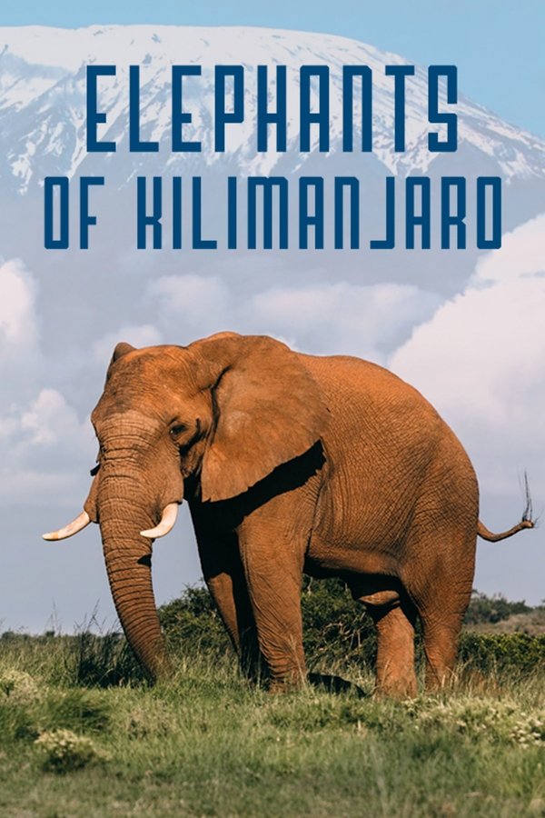 Elephants Of Kilimanjaro