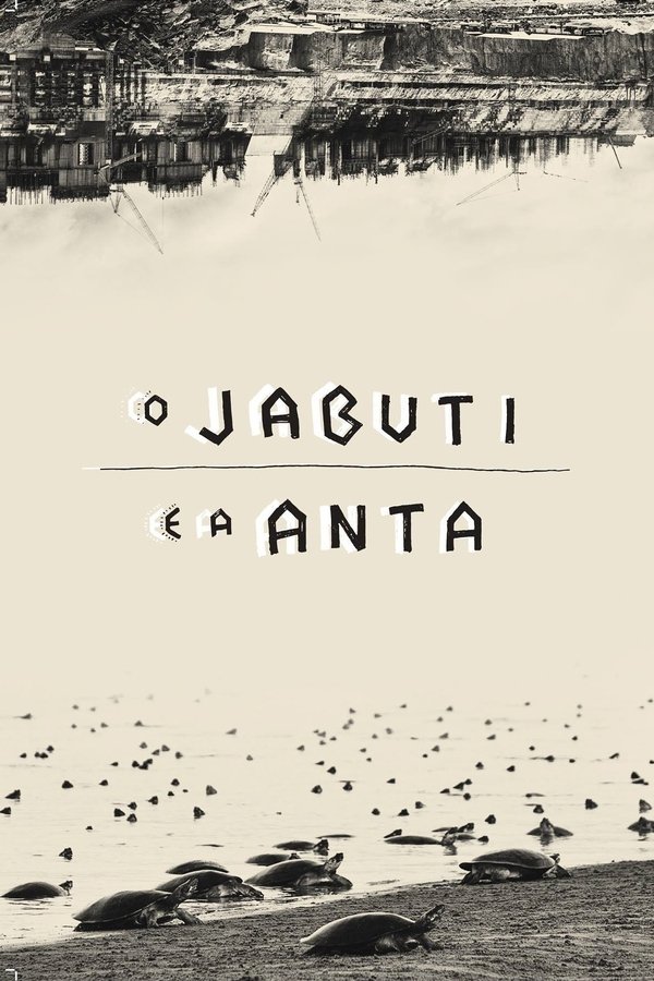 O Jabuti E A Anta