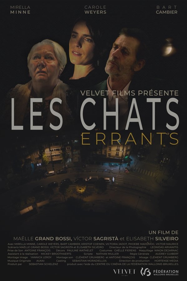 Les Chats Errants