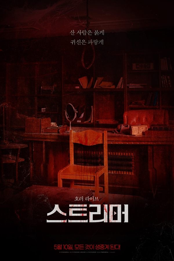 스트리머